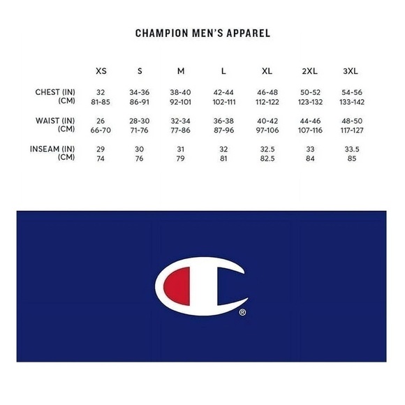 Champion Mens Gray Printed Nylon Casual Shorts NWT - Picture 3 of 7